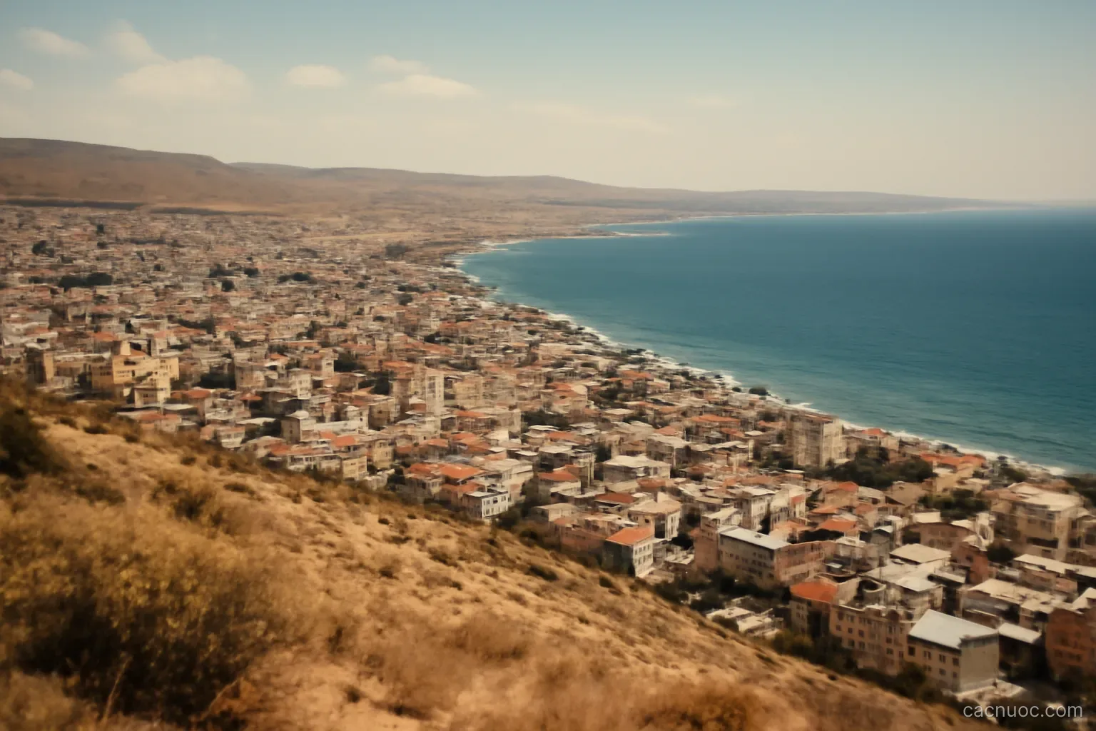 A coastal city seen from a hill with dense housing along the shore and empty dry land behind, no readable text