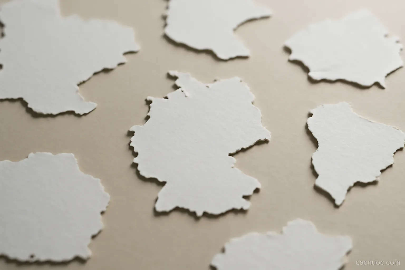 Several country outlines cut from paper laid side by side on a plain surface, no readable text