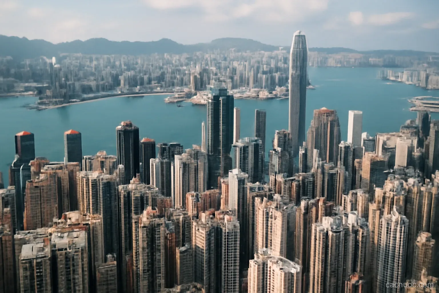 A dense skyline of towers packed against a harbour with hills ending abruptly at the water, aerial view, no readable text